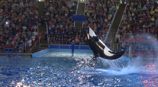 圣安东尼奥海洋生物馆