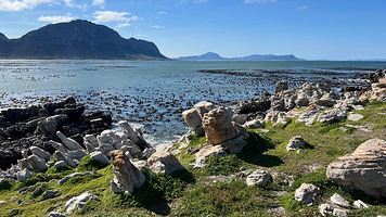 Betty's Bay Main Beach