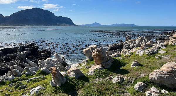 Betty's Bay Main Beach
