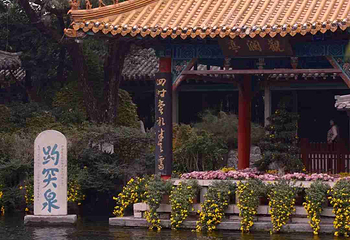趵突泉景区第 213 张图片