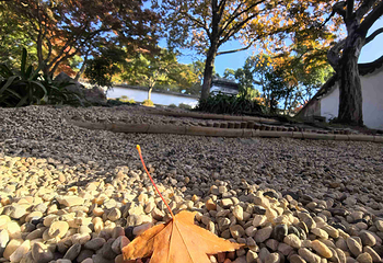 虎丘山风景名胜区第 226 张图片