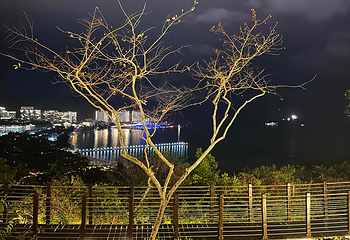鹿回头风景区第 211 张图片