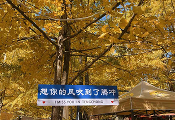 银杏村第 48 张图片