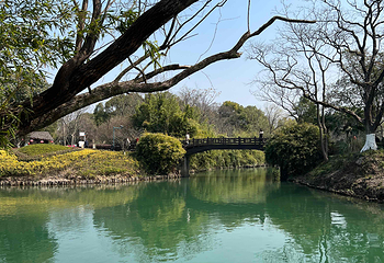 西溪国家湿地公园第 146 张图片