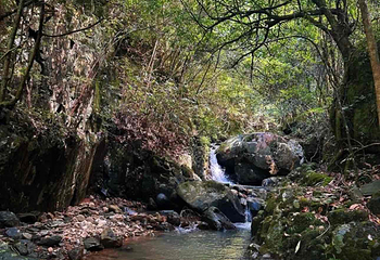 千岛湖红山谷景区第 29 张图片