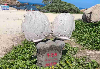 蜈支洲岛第 310 张图片