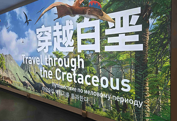 辽宁朝阳鸟化石国家地质公园第 69 张图片