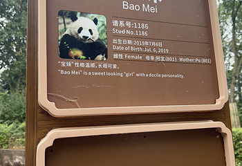 成都大熊猫繁育研究基地第 655 张图片