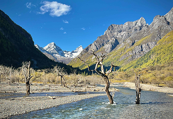 四姑娘山双桥沟景区第 37 张图片