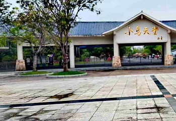小鸟天堂第 29 张图片