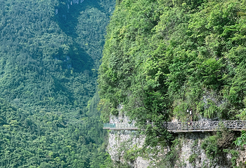 巴山大峡谷第 87 张图片