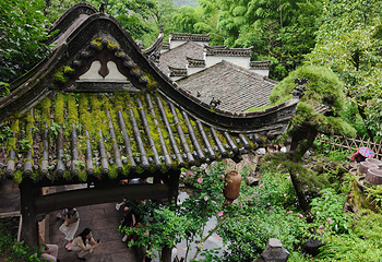 婺源篁岭景区第 315 张图片