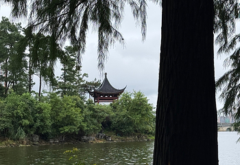 南湖第 107 张图片