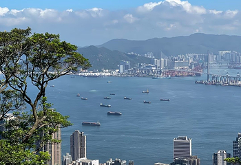 太平山顶第 171 张图片