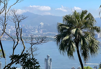 太平山顶第 221 张图片