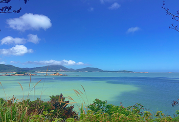朱家尖大青山景区第 36 张图片