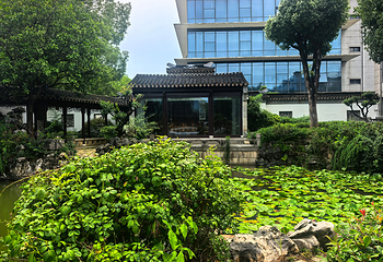 虎丘湿地公园第 9 张图片