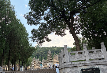 嵩山风景名胜区第 95 张图片