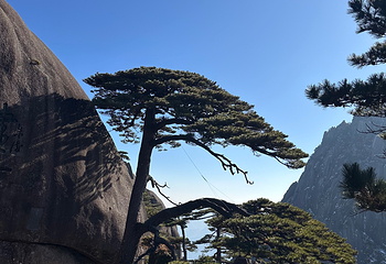 黄山风景区第 334 张图片