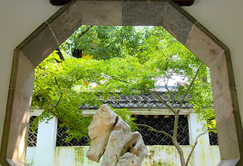 惠山古镇·寄畅园第 134 张图片