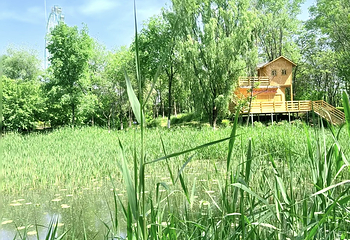 西安浐灞国家湿地公园第 58 张图片