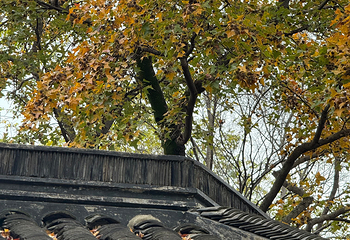 寒山寺第 110 张图片