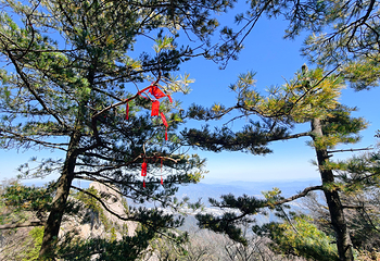 老君山景区第 119 张图片