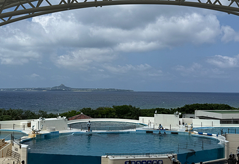 冲绳美丽海水族馆第 92 张图片