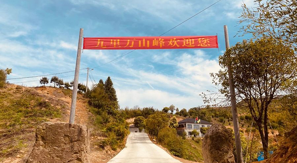 临安万山峰营地