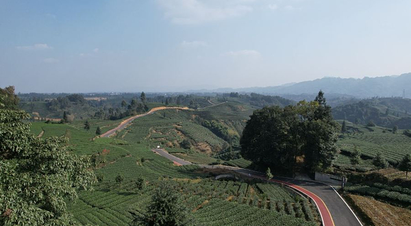 长岗山观景平台