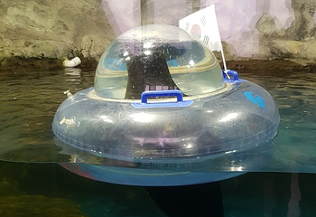 丽水Aqua Planet水族馆第 14 张图片