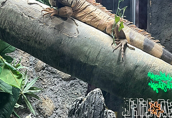 布莱顿海洋生物水族馆第 14 张图片