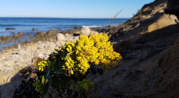 蒙托克州立公园