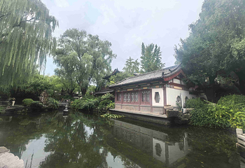 趵突泉景区第 214 张图片