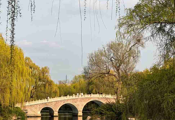 大明湖景区第 57 张图片