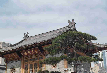 大兴善寺第 45 张图片