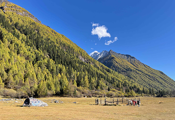 四姑娘山双桥沟景区第 46 张图片