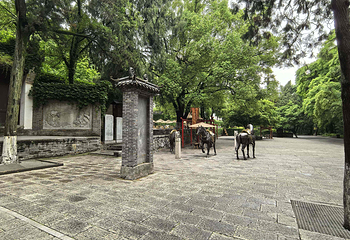 古隆中第 139 张图片