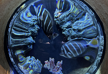 河内乐天世界水族馆第 32 张图片