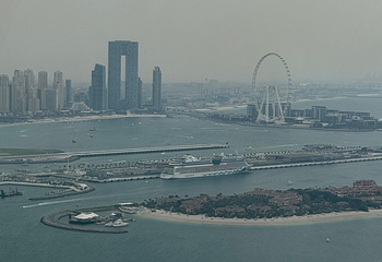 棕榈岛观景台第 95 张图片