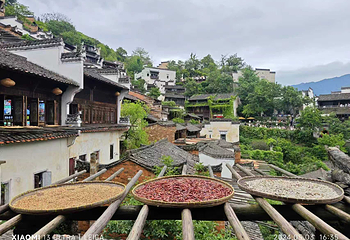 婺源篁岭景区第 71 张图片