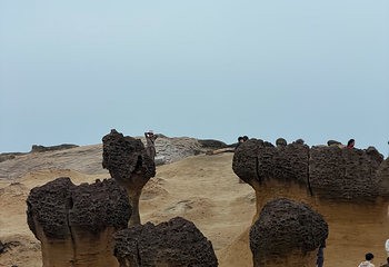 野柳地质公园第 84 张图片