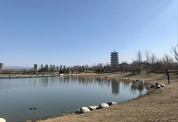 西安世博园第 101 张图片