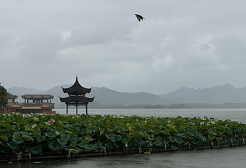 西湖风景名胜区第 410 张图片