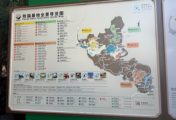 成都大熊猫繁育研究基地第 764 张图片