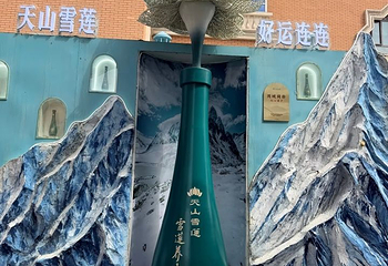 新疆国际大巴扎第 106 张图片