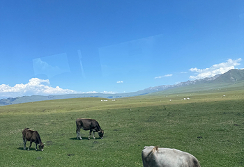 那拉提旅游风景区第 128 张图片