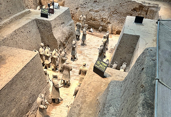 秦始皇帝陵博物院(兵马俑)第 509 张图片