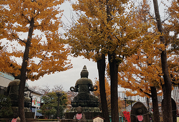 浅草寺第 225 张图片