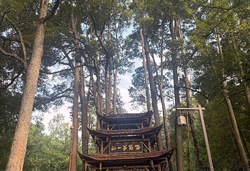 青城山第 379 张图片